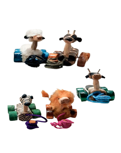 Carro pequeño