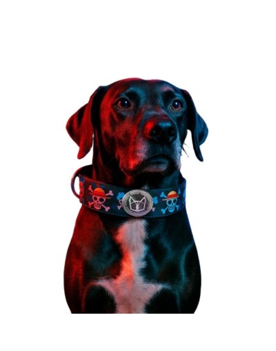 COLLAR MARTINGALE TALLA XL
