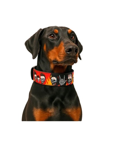 COLLAR MARTINGALE TALLA XL
