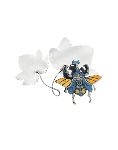 Aliados joyas de la naturaleza azul