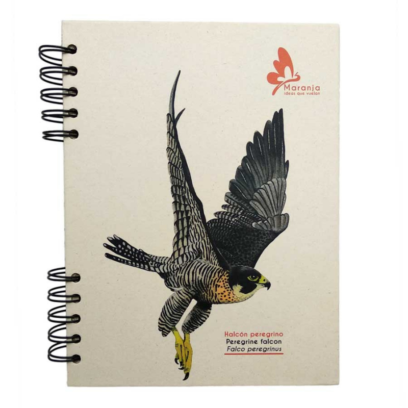 Agenda ecológica + papel plantable / halcón peregrino, peregrine falcon