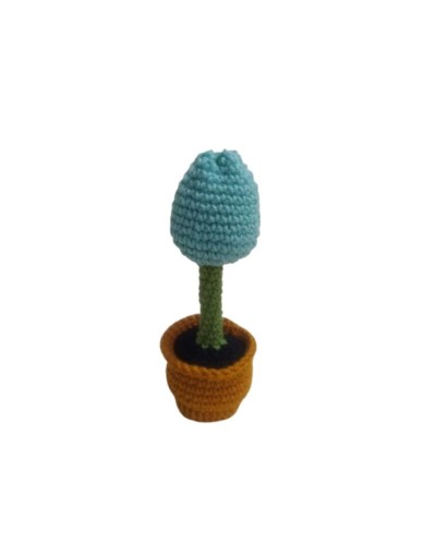 Maceta pequeña de Tulipán