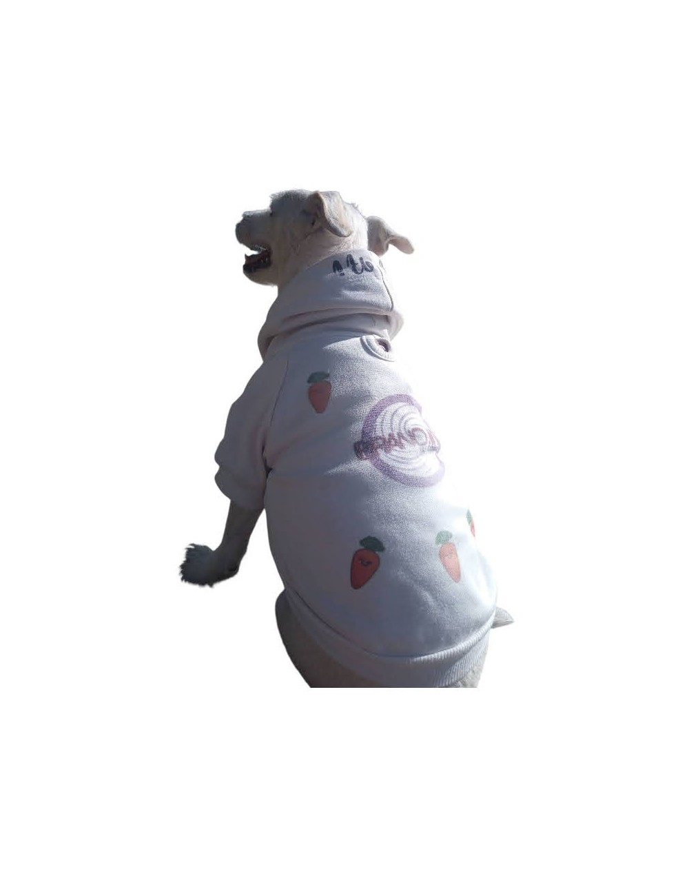 hoodies para mascotas