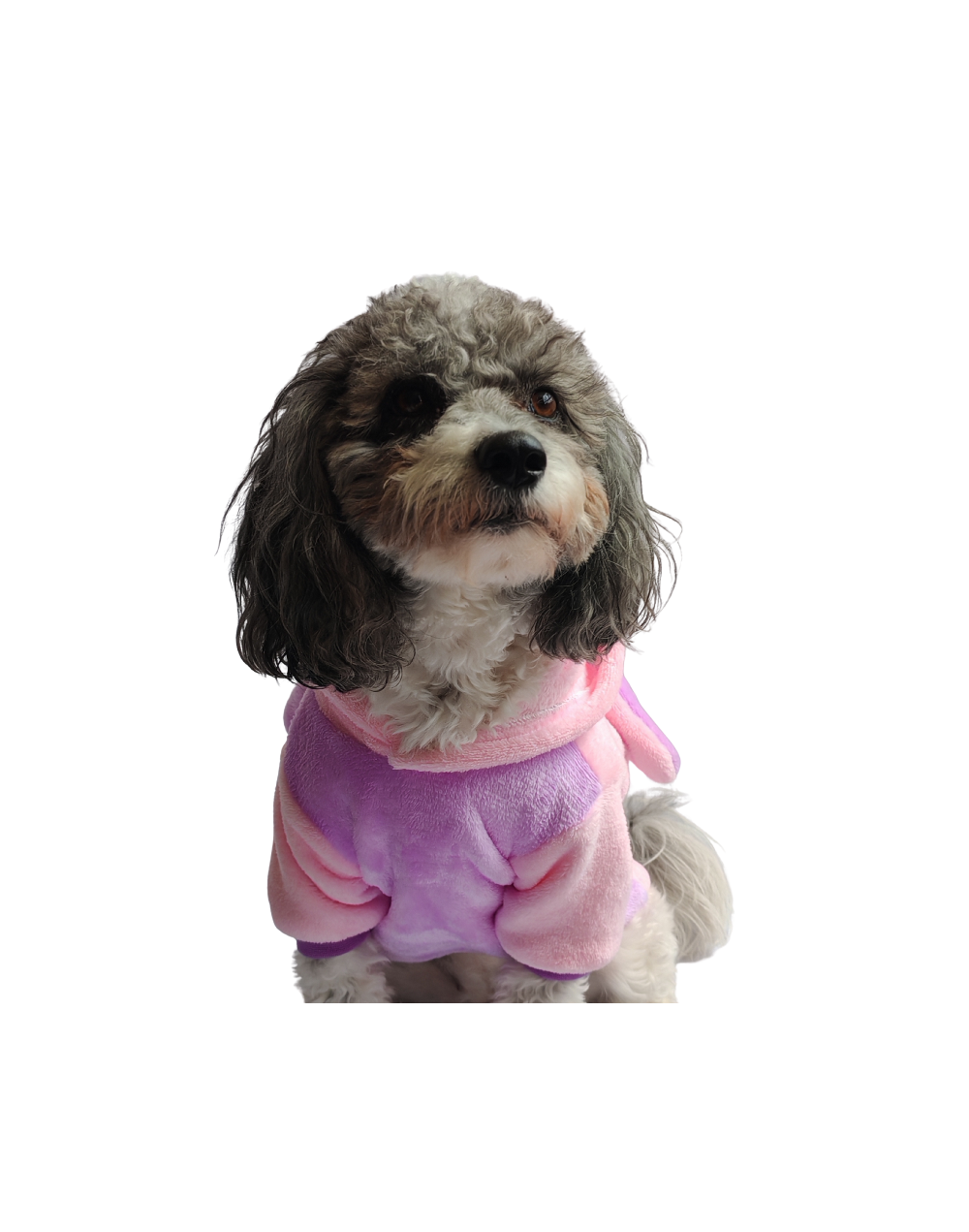 Saco Stitch tallas 2XL y 3XL