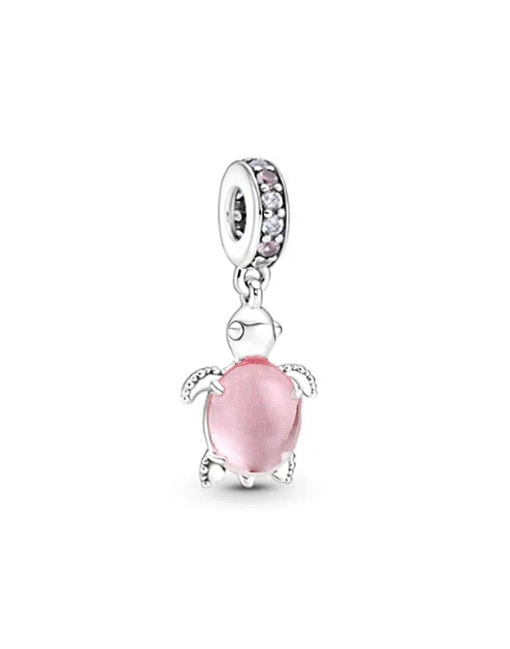 charm tortuga