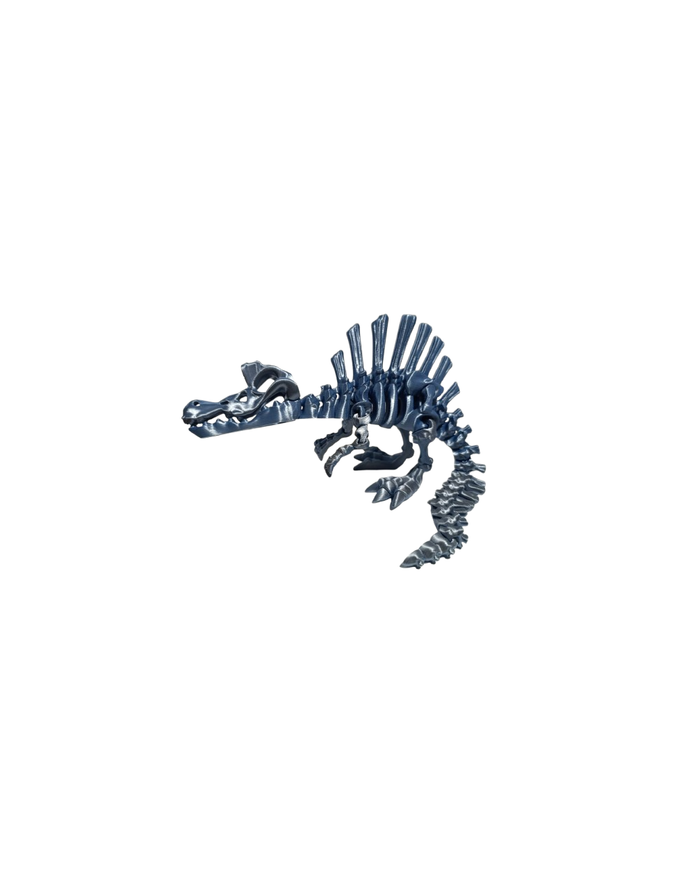 DINO SPINO