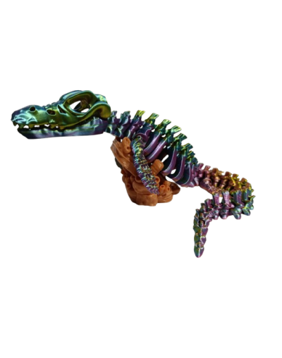 DINO SPINOBONE
