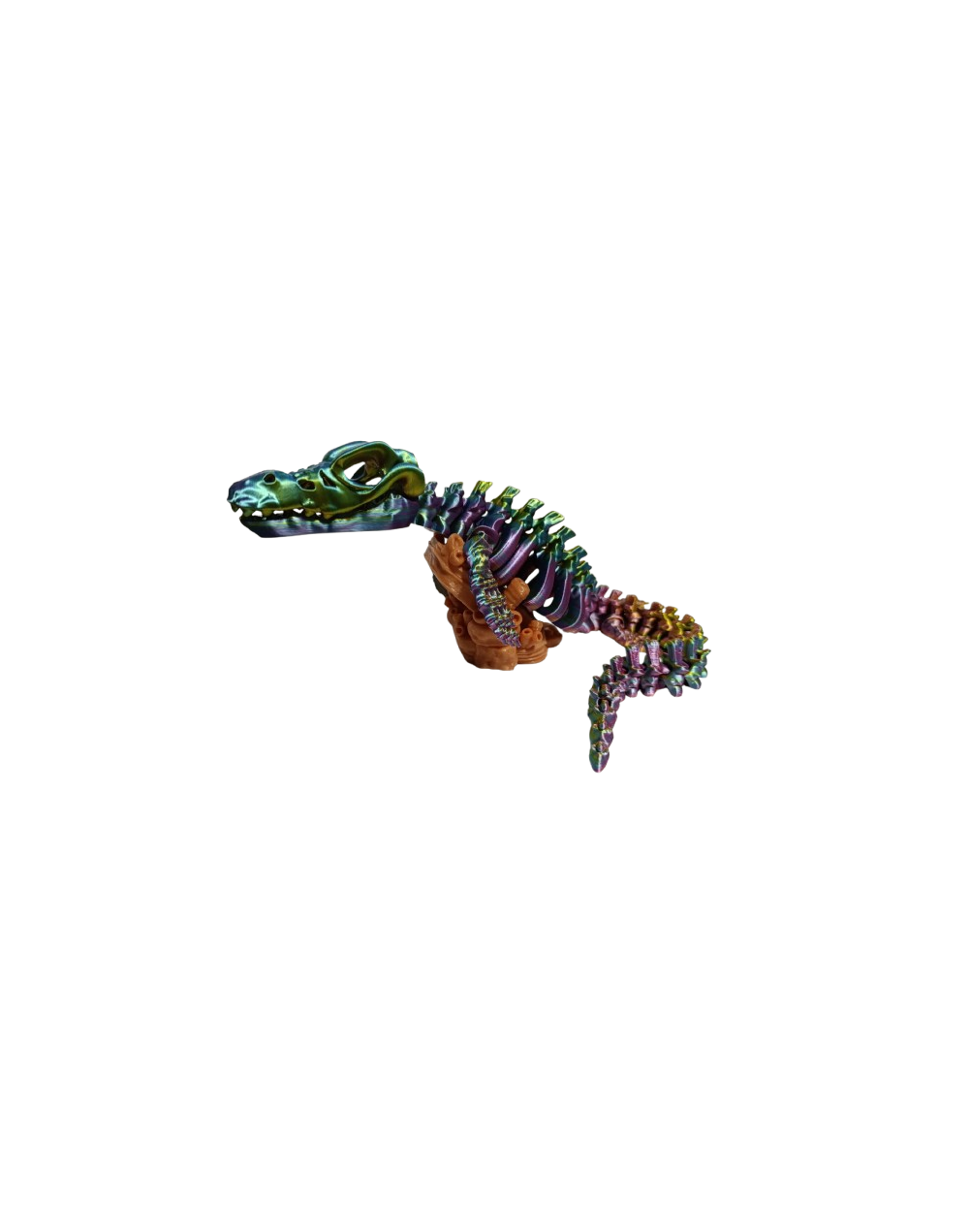 DINO SPINOBONE