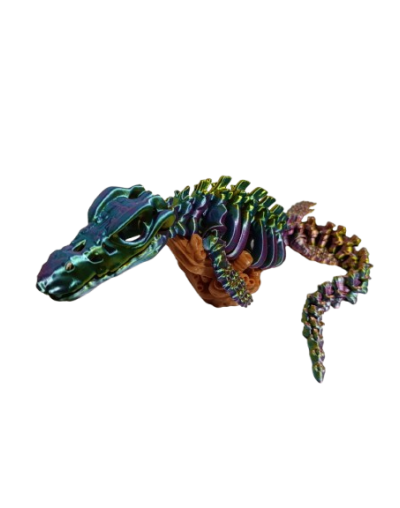 DINO SPINOBONE