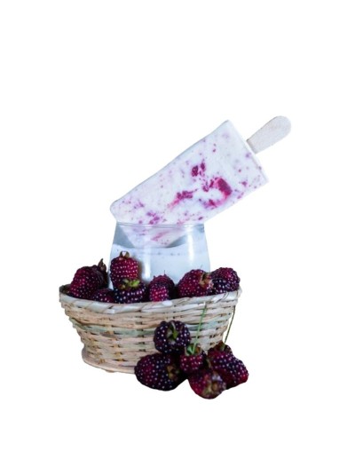 Helado Artesanal de Yogurt de Mora