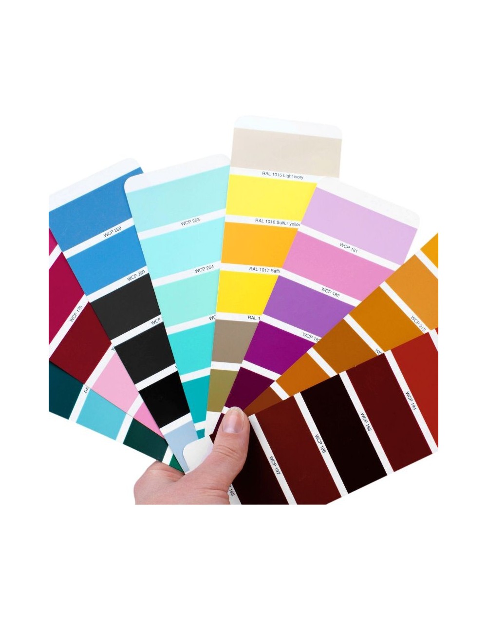 Colorimetria Personalizado Online