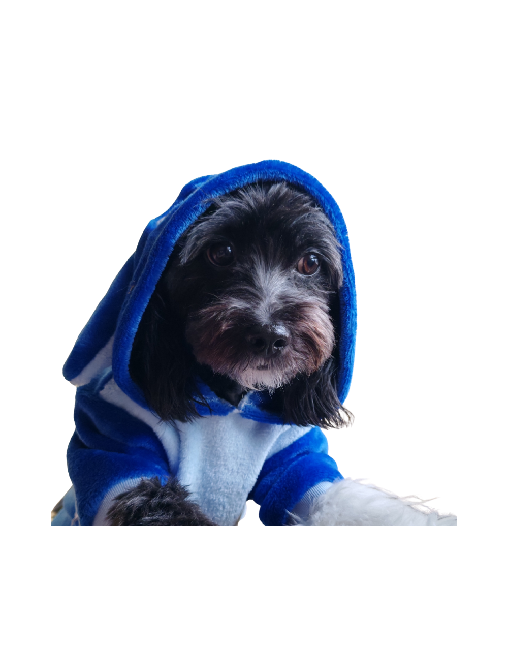 Saco Stitch tallas 2XL y 3XL