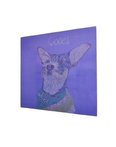 Retratos de mascotas