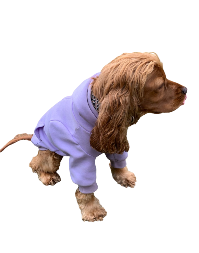  Buzo en algodón perchado para perro