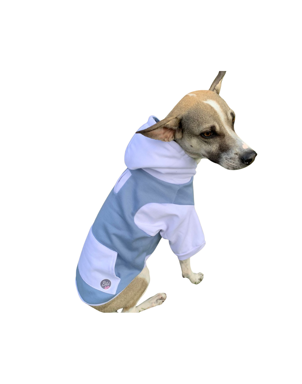 Buzo en algodon perchado para perro
