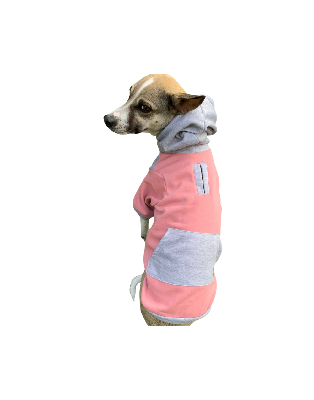 Buzo en algodon perchado para perro