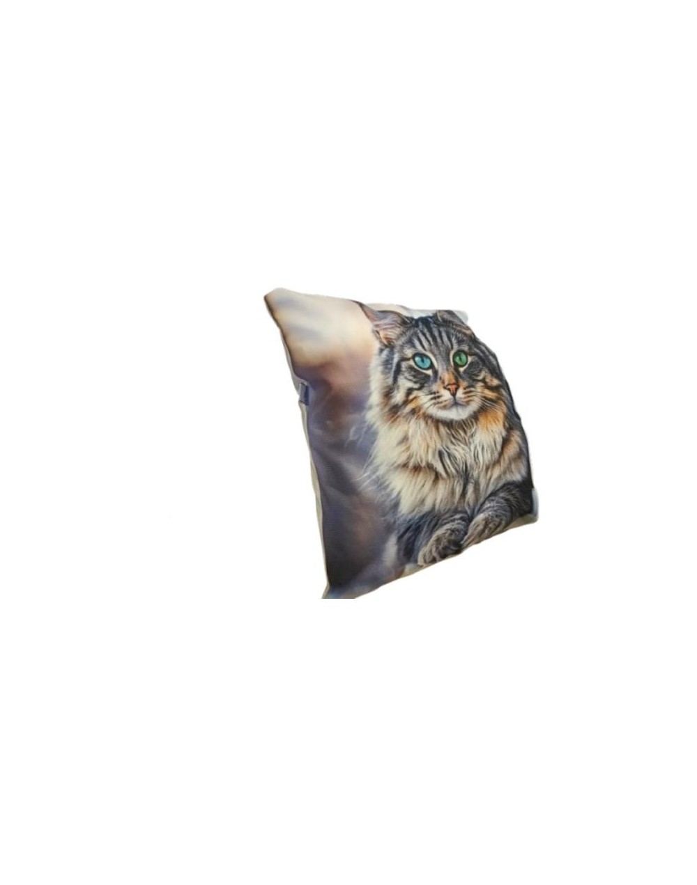 Cojín "Mi Mejor Amigo": ¡Abrázalos Siempre!