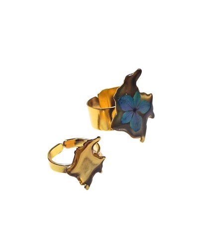 Anillos Mapa de Colombia