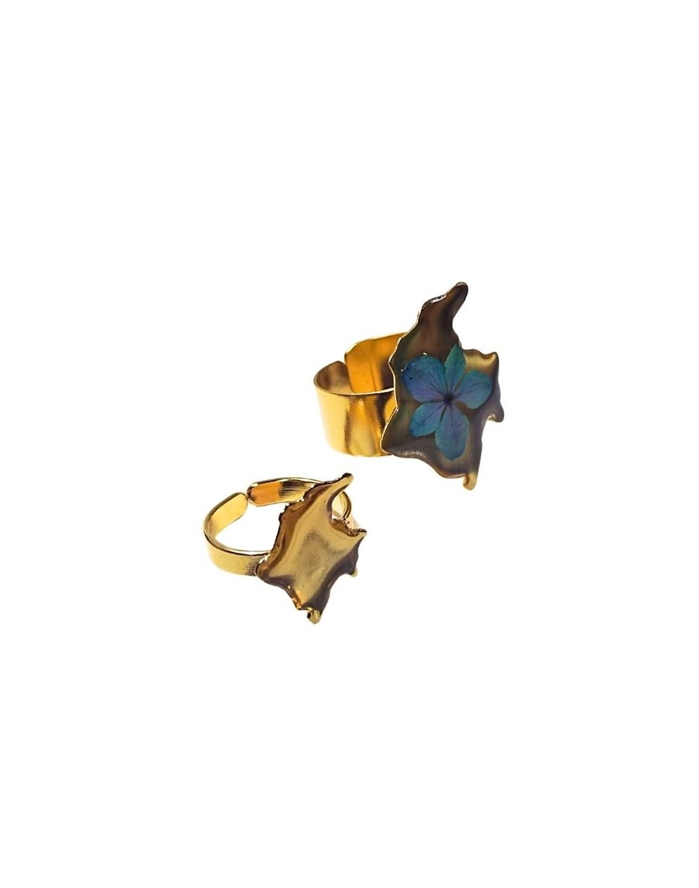 Anillos Mapa de Colombia