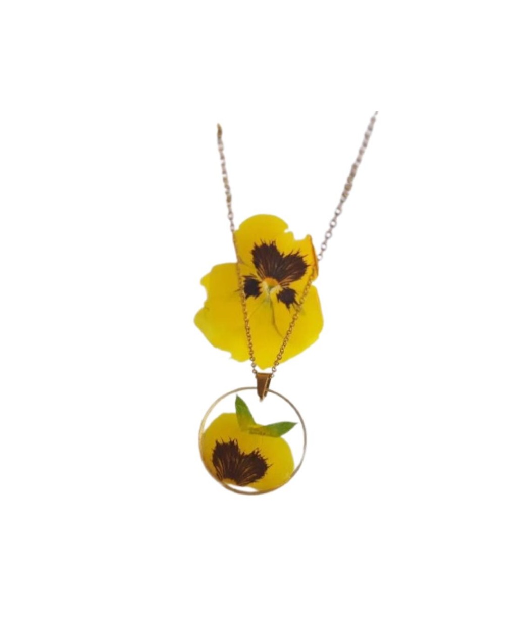 set de flores de pensamiento 