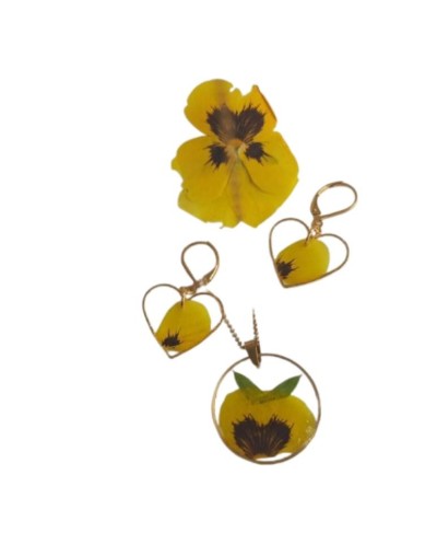 set de flores de pensamiento 