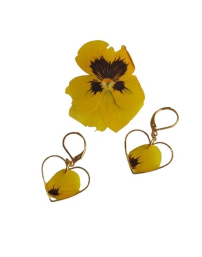 set de flores de pensamiento 