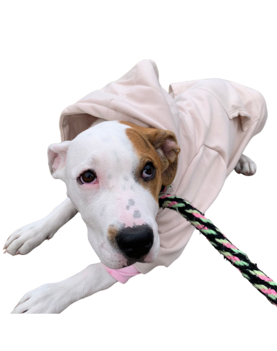 Buzo con capota talla S