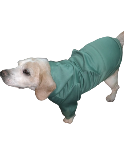 Buzo con capota talla M