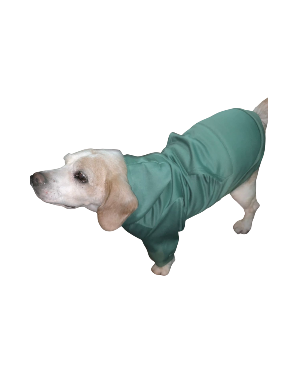 Buzo en algodon perchado para perro