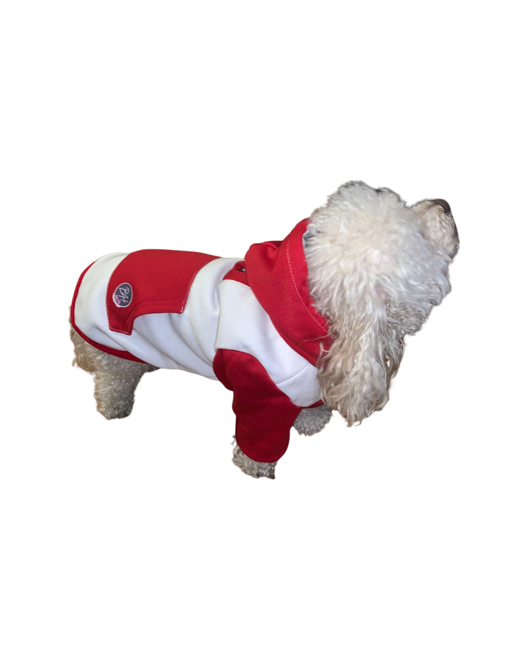 Buzo en algodon perchado para perro