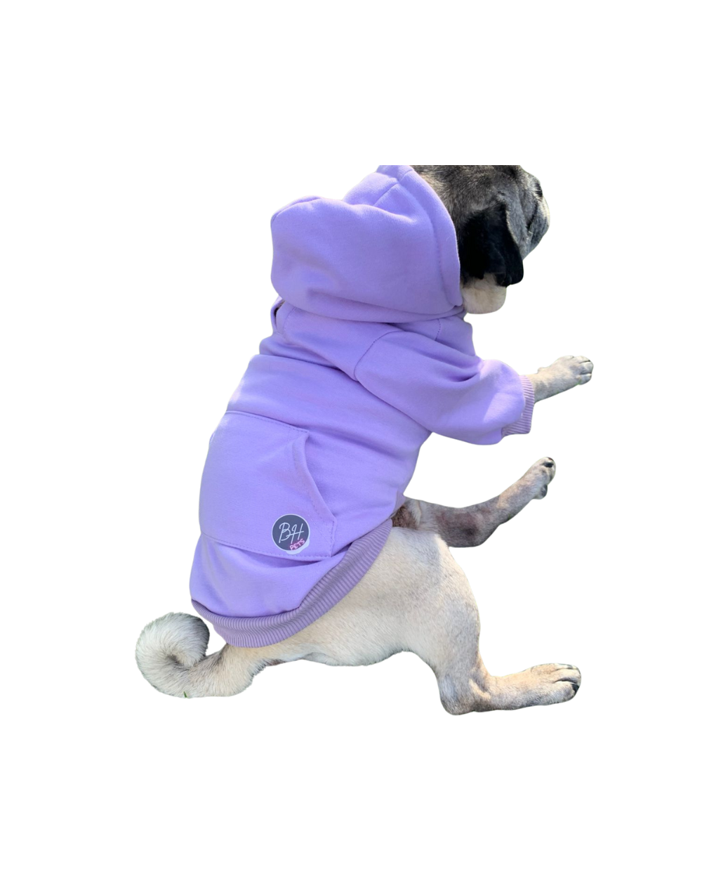 Buzo en algodon perchado para perro