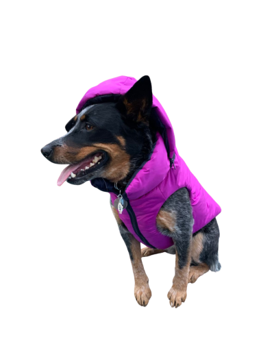 Chaleco semi impermeable para perro