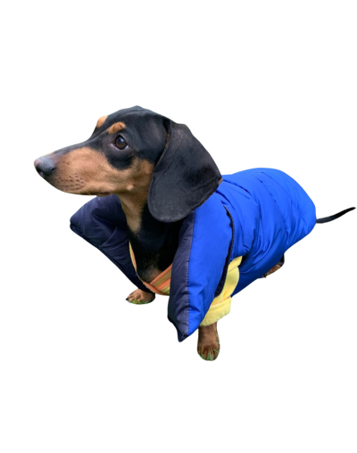 Chaleco semi impermeable para perro