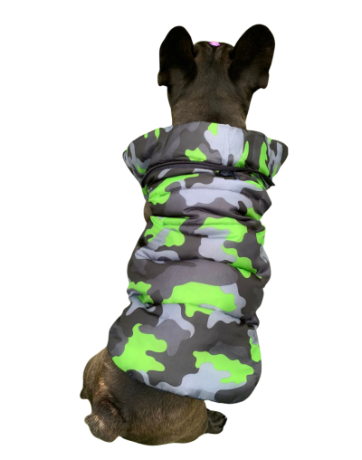 Chaleco semi impermeable para perro