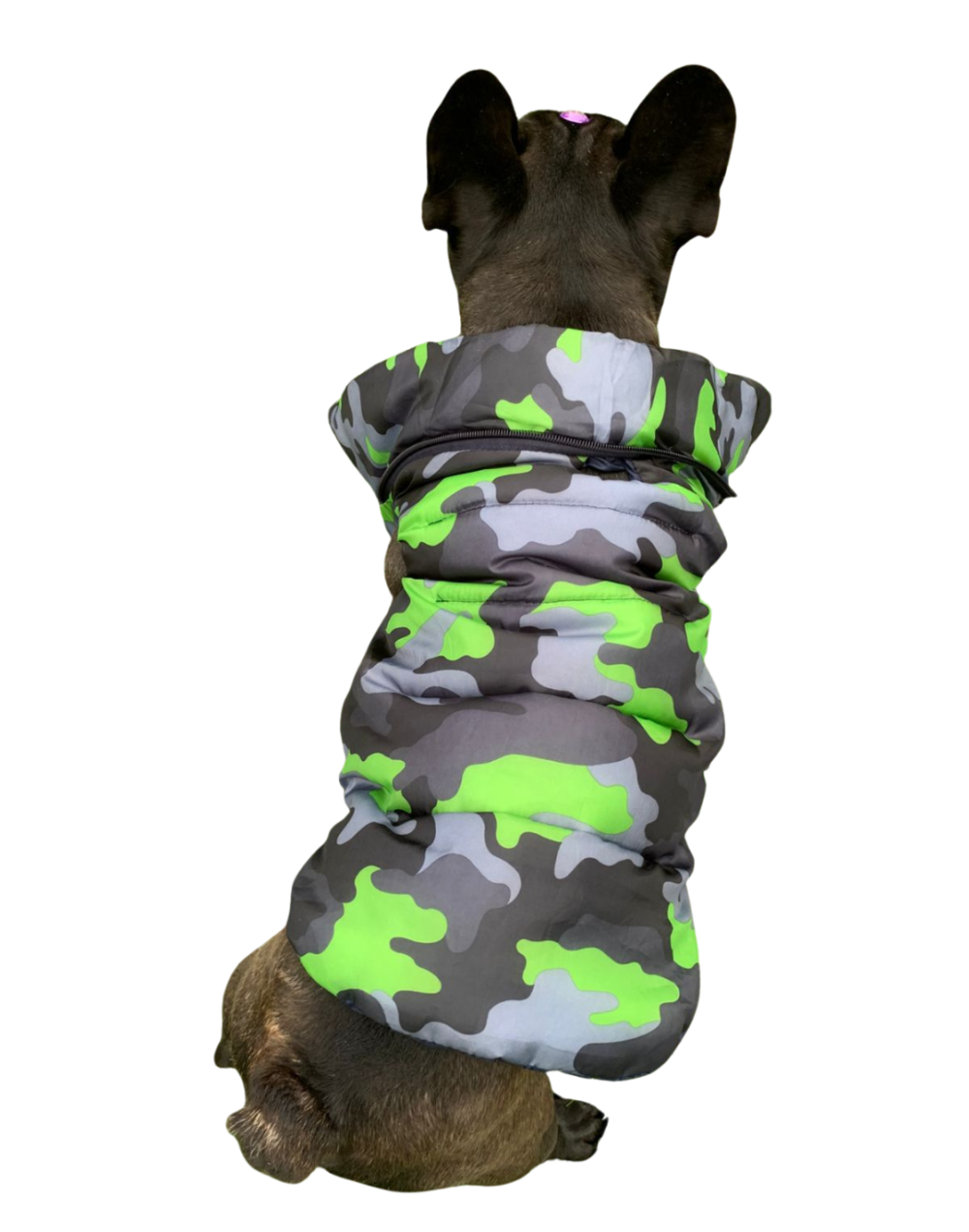 Chaleco semi impermeable para perro