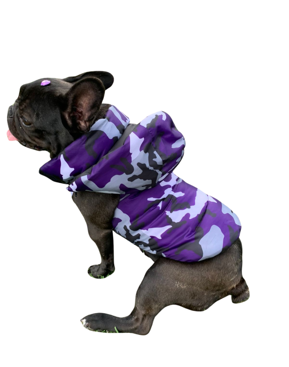 Chaleco semi impermeable para perro