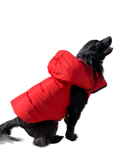 Chaleco semi impermeable para perro