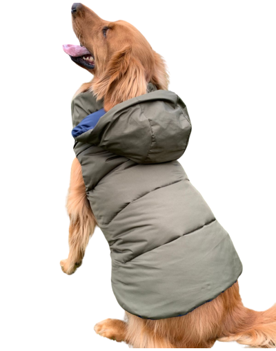 Chaleco semi impermeable para perro