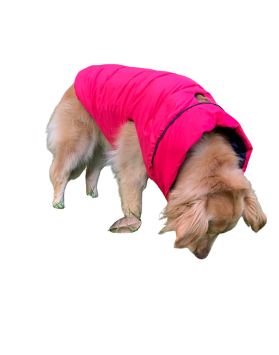 Chaleco semi impermeable para perro