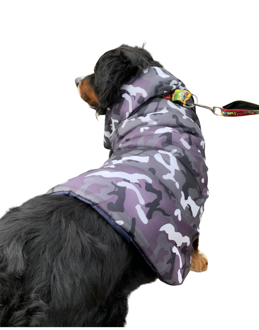 Chaleco semi impermeable para perro