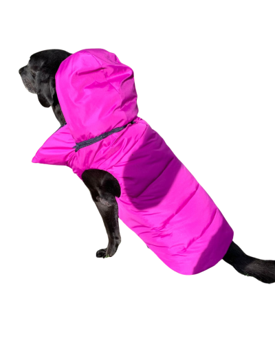 Chaleco semi impermeable para perro