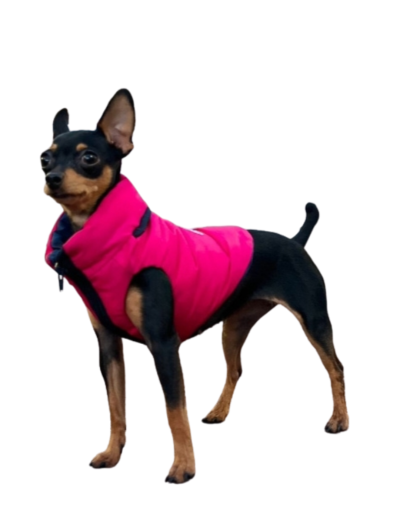 Chaleco semi impermeable para perro