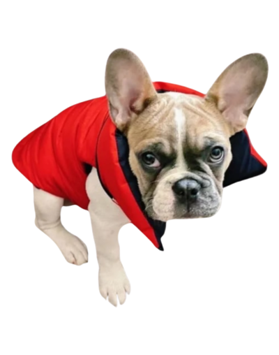 Chaleco semi impermeable para perro