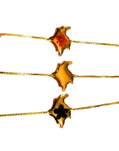 Manilla Rodinada Colombia