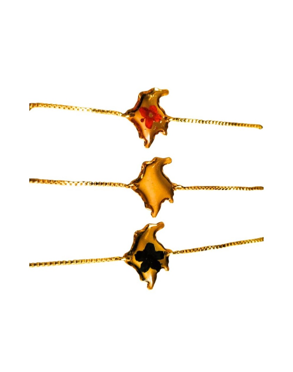 Manilla Rodinada Colombia