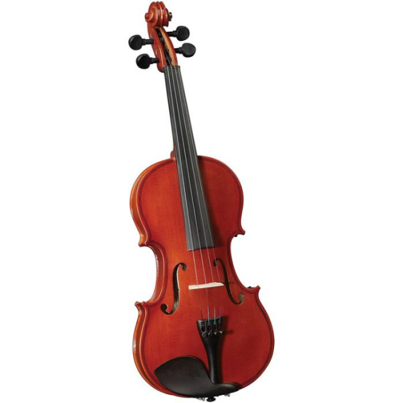 Violin cervini hv50 34