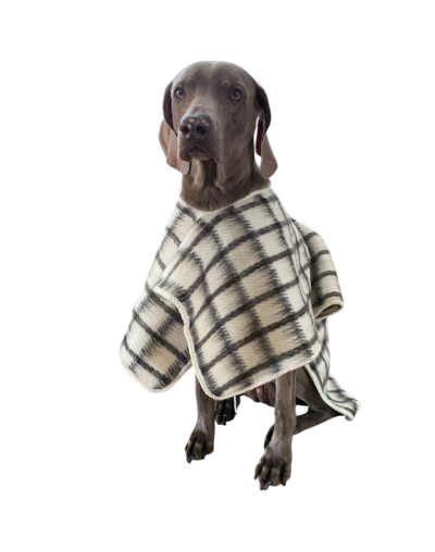 Ruana para mascota sin capota Berriondita 