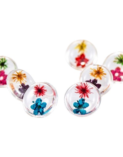 Topos Sauco Encapsulados