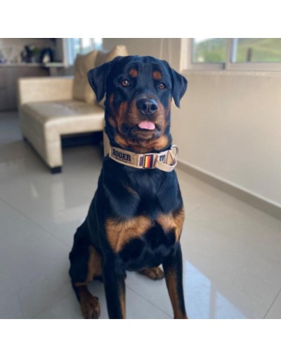 collar táctico coyote