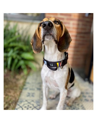 collar táctico negro